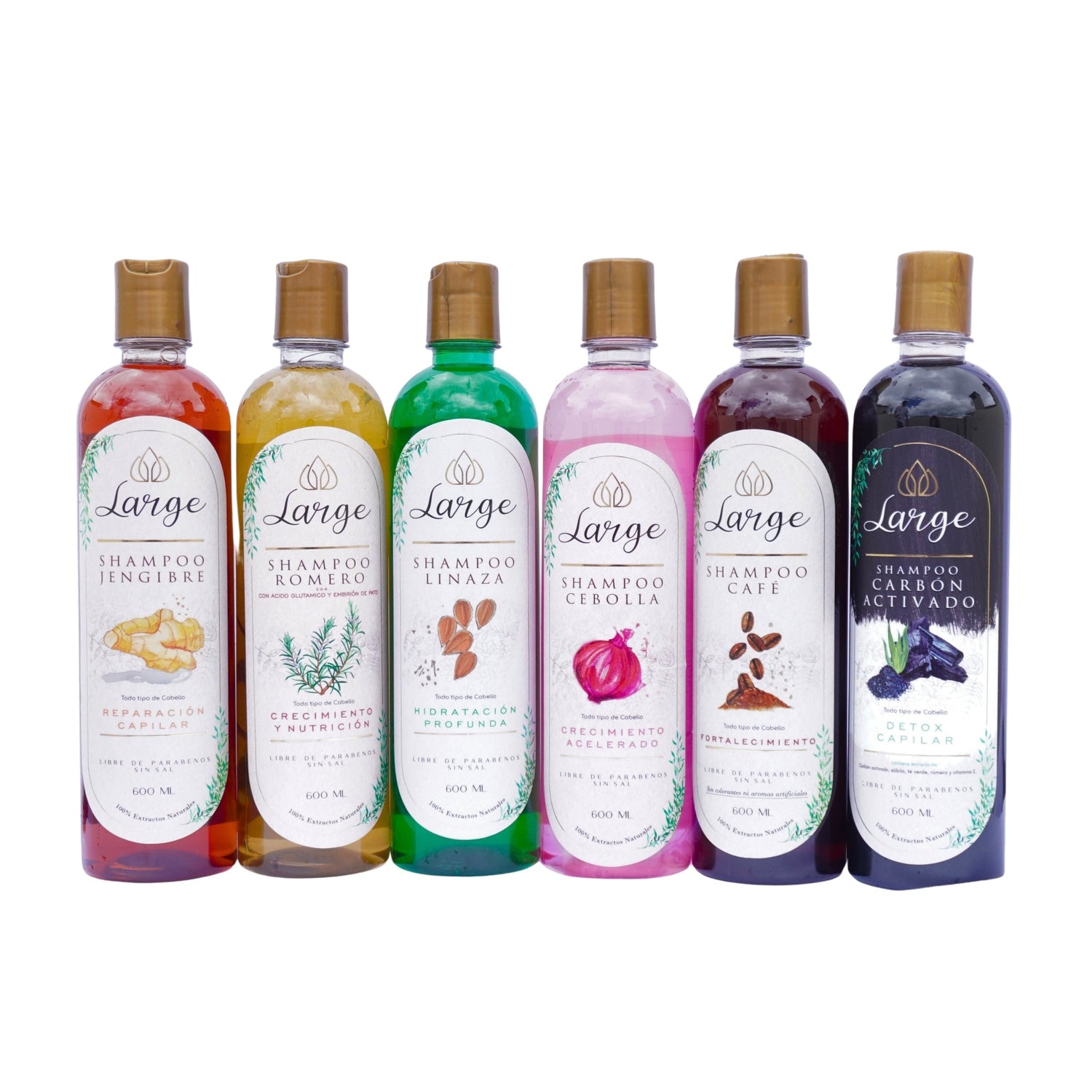 Shampoo
