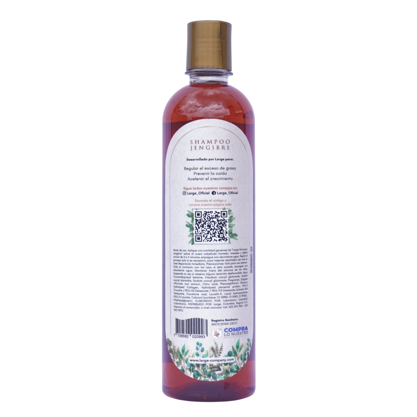 Shampoo Jengibre