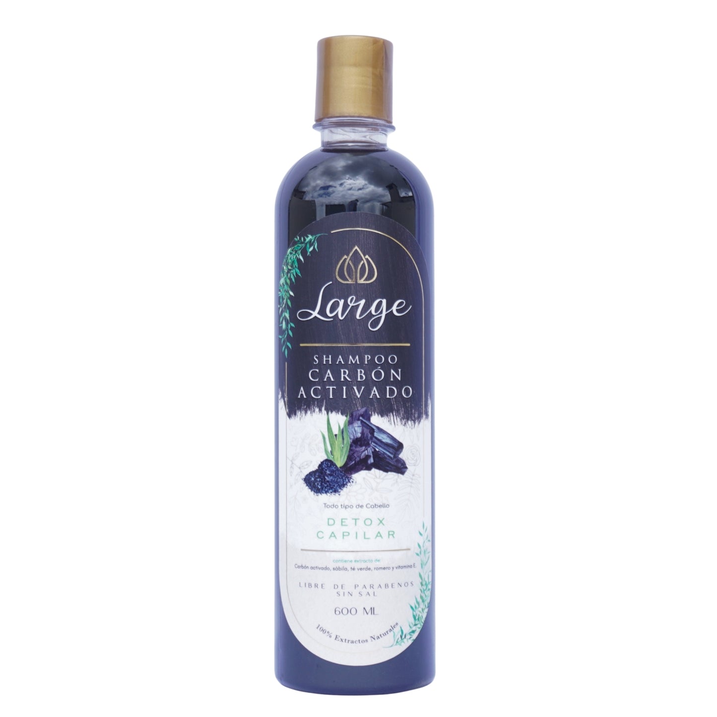 Shampoo Detox Carbón Activado