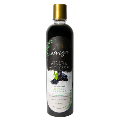 Shampoo Detox Carbón Activado