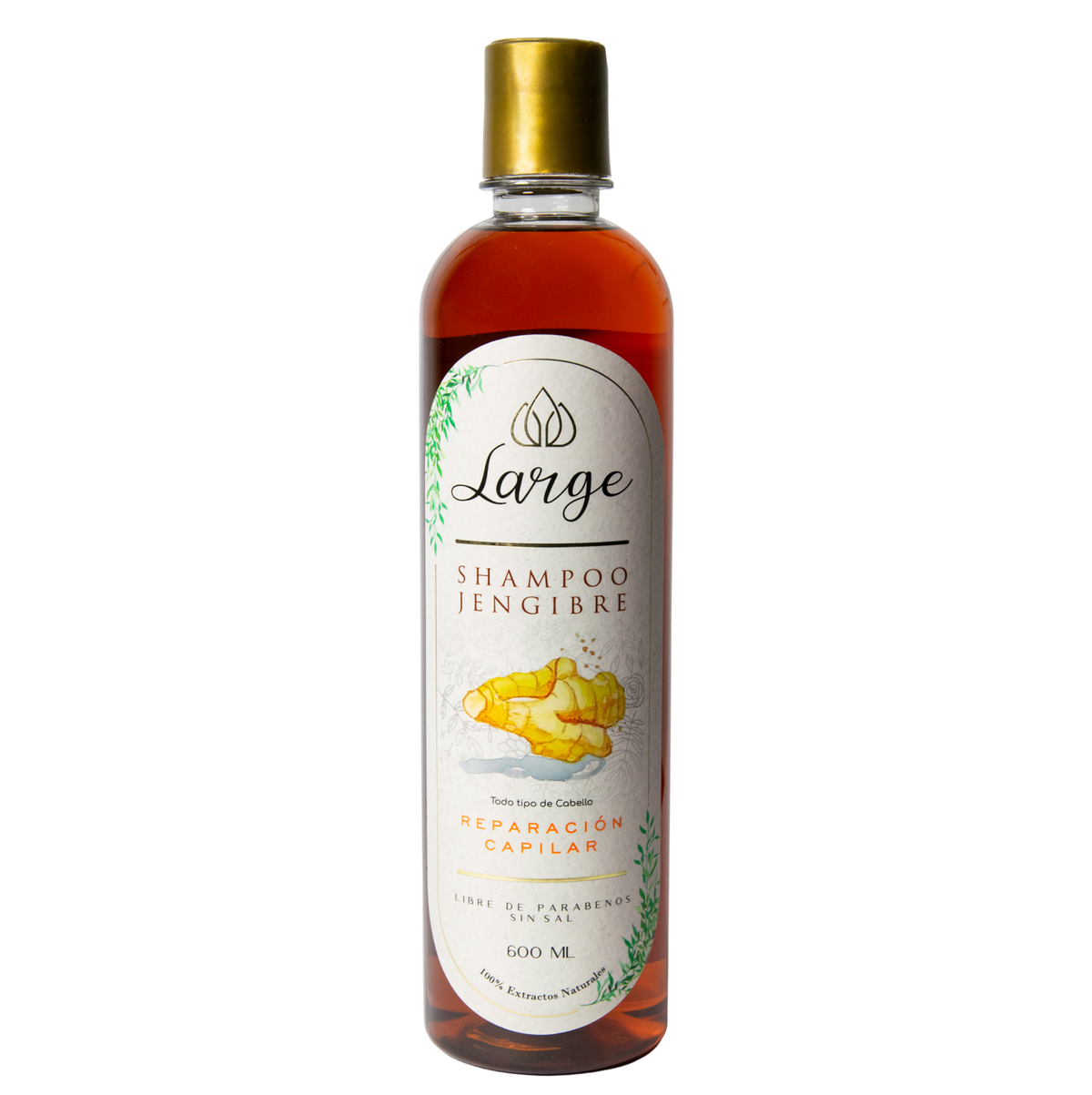 Shampoo Jengibre