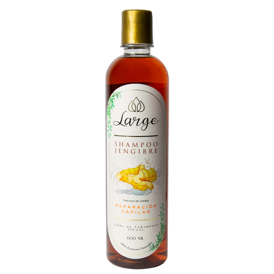Shampoo Jengibre