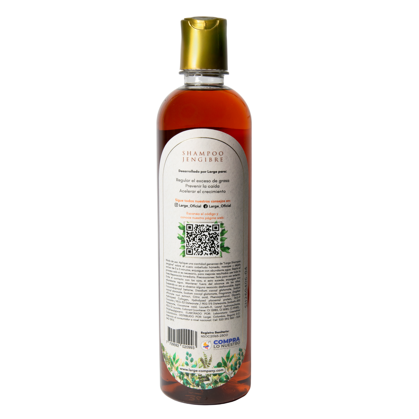 Shampoo Jengibre
