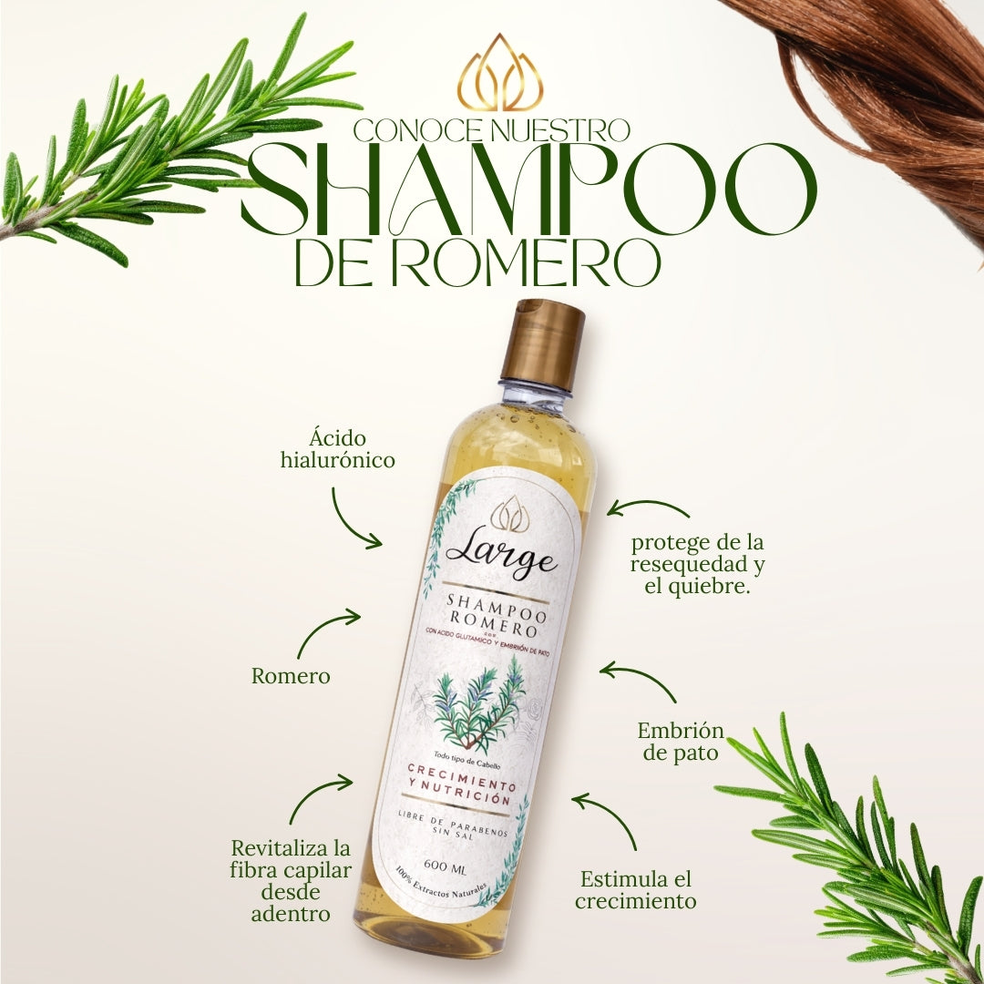Shampoo Romero